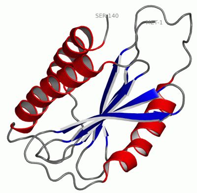 Image Asym./Biol. Unit - manually