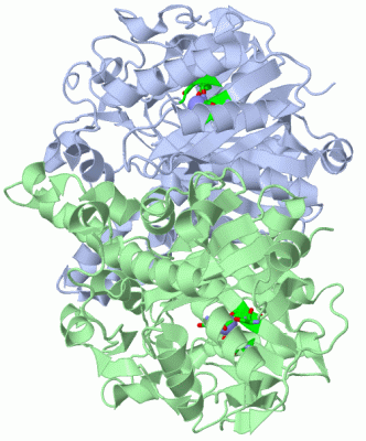 Image Biol.Unit 1 - manually