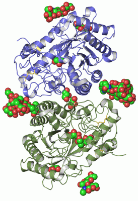 Image Asym.Unit - manually