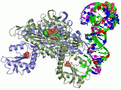 Image Asym./Biol. Unit - manually