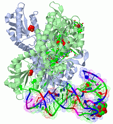 Image Asym./Biol. Unit - manually