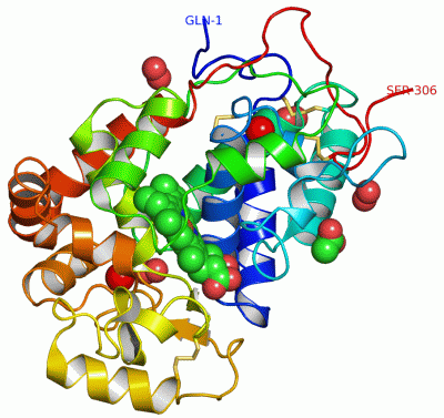 Image Asym./Biol. Unit - manually