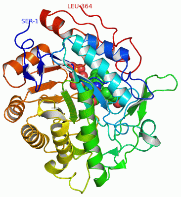 Image Asym./Biol. Unit - manually