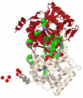 Image Biol.Unit 1 - manually