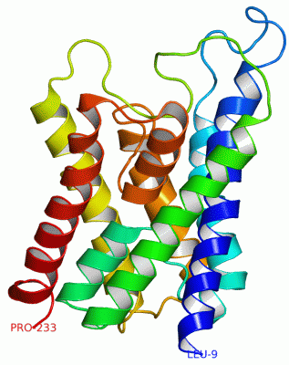 Image Asym./Biol. Unit - manually