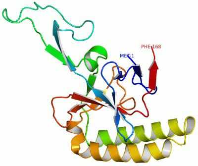 Image NMR Structure - manually