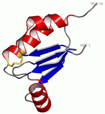 Image Asym./Biol. Unit - manually