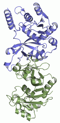 Image Asym./Biol. Unit - manually