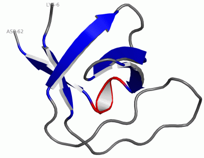 Image Asym./Biol. Unit - manually