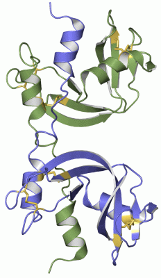 Image Asym./Biol. Unit - manually