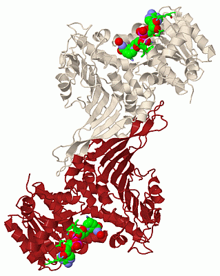 Image Biol.Unit 1 - manually