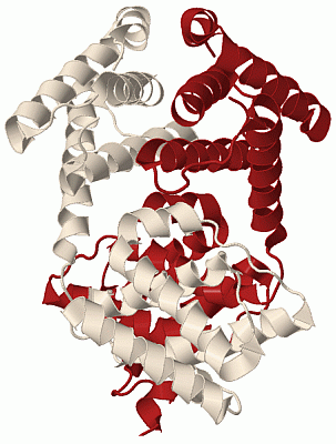 Image Biol.Unit 1 - manually