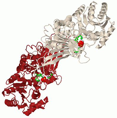 Image Biol.Unit 1 - manually