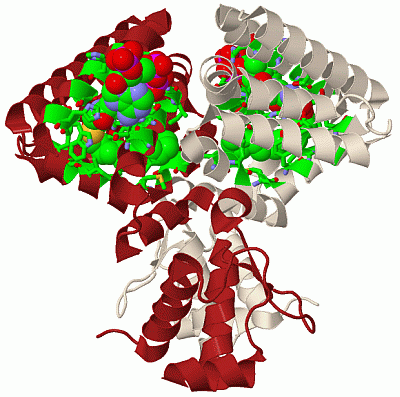 Image Biol.Unit 1 - manually