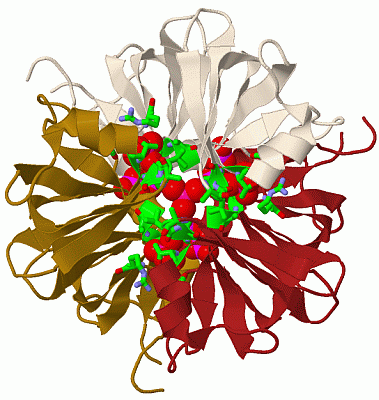 Image Biol.Unit 1 - manually