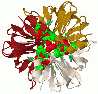 Image Biol.Unit 1 - manually