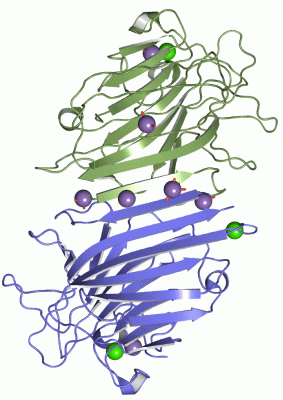 Image Asym./Biol. Unit - manually