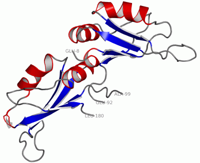 Image Asym./Biol. Unit - manually