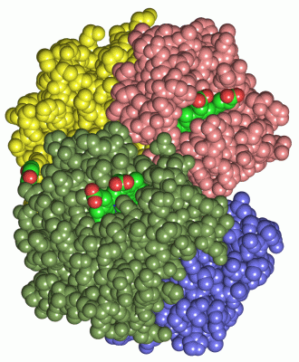 Image Asym./Biol. Unit - manually