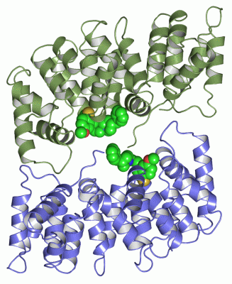 Image Asym./Biol. Unit - manually