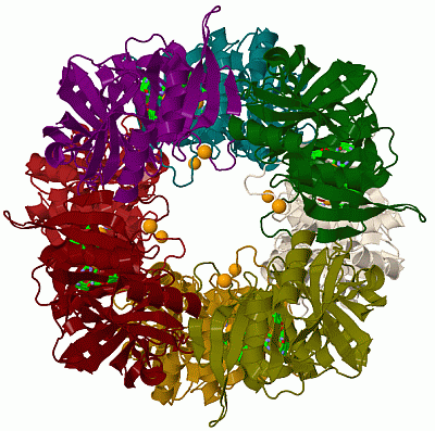 Image Biol.Unit 1 - manually