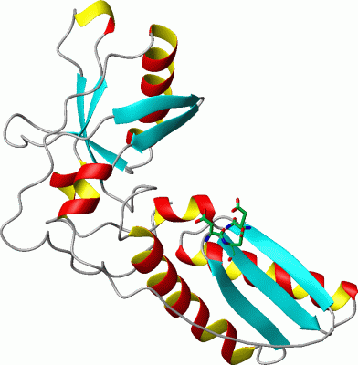 Image Asym./Biol. Unit - manually