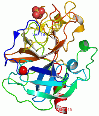 Image Asym./Biol. Unit - manually