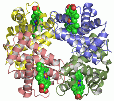 Image Asym./Biol. Unit - manually