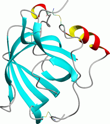 Image Asym./Biol. Unit - manually