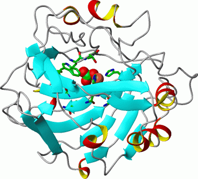 Image Asym./Biol. Unit - manually