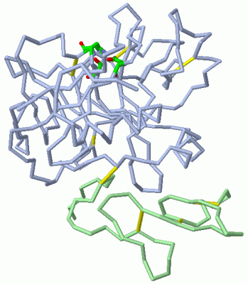 Image Asym./Biol. Unit - manually