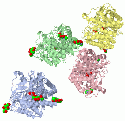 Image Biol.Unit 1 - manually