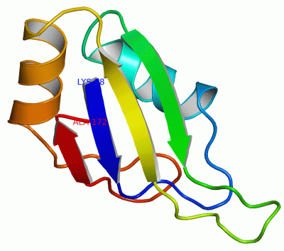 Image NMR Structure - manually