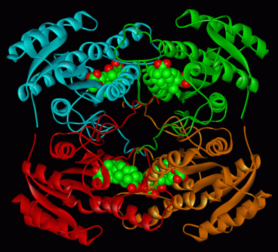 Image Asym./Biol. Unit - manually