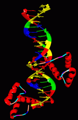 Image Asym./Biol. Unit - manually