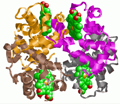 Image Asym./Biol. Unit - manually