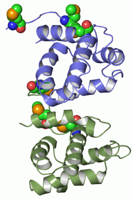 Image Asym.Unit - manually