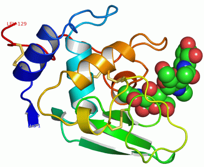 Image Asym./Biol. Unit - manually