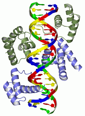 Image Asym./Biol. Unit - manually