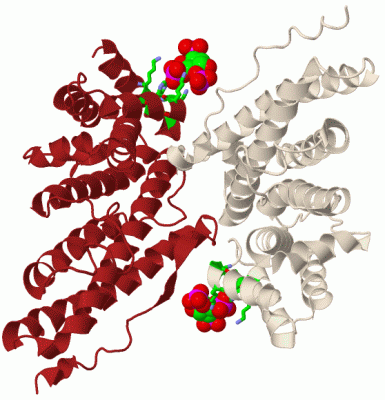 Image Biol.Unit 1 - manually