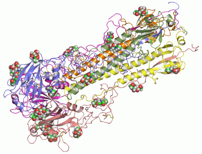 Image Asym./Biol. Unit - manually