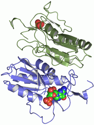 Image Asym./Biol. Unit - manually