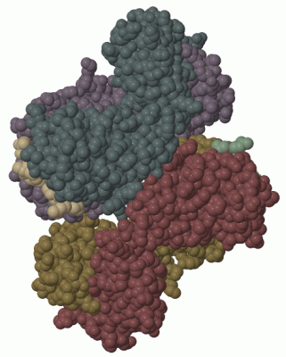 Image Asym./Biol. Unit - manually