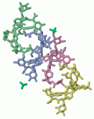 Image Asym./Biol. Unit - manually