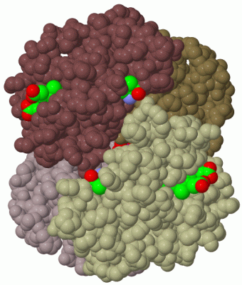 Image Biol.Unit 1 - manually