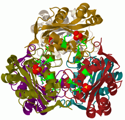 Image Biol.Unit 1 - manually