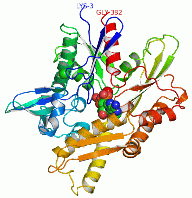 Image Asym./Biol. Unit - manually