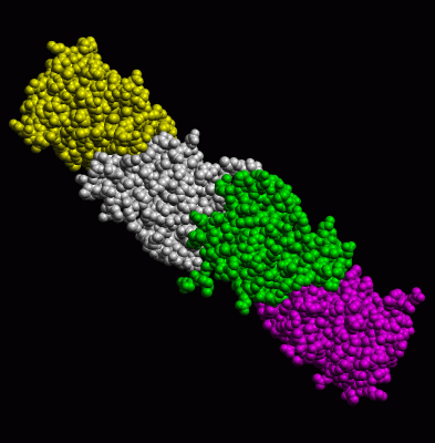 Image Asym.Unit - manually