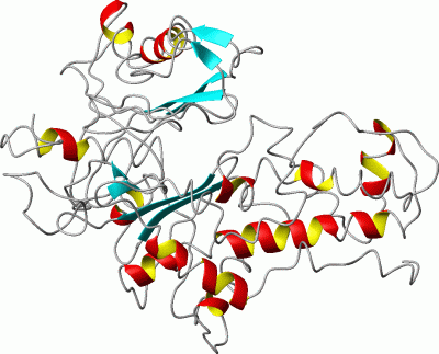 Image Asym./Biol. Unit - manually