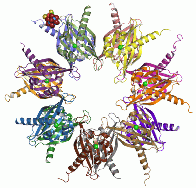 Image Asym./Biol. Unit - manually
